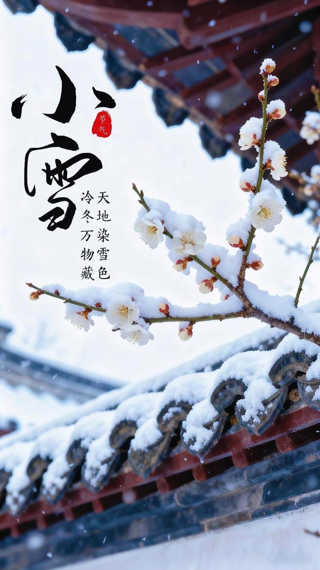 小雪时节看冬的诗意 雪色温柔倔强