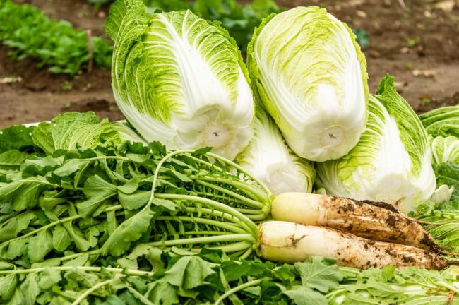 今日小雪！气寒将雪，万物藏序，冬日安好 牢记1不吃2不洗3不晚