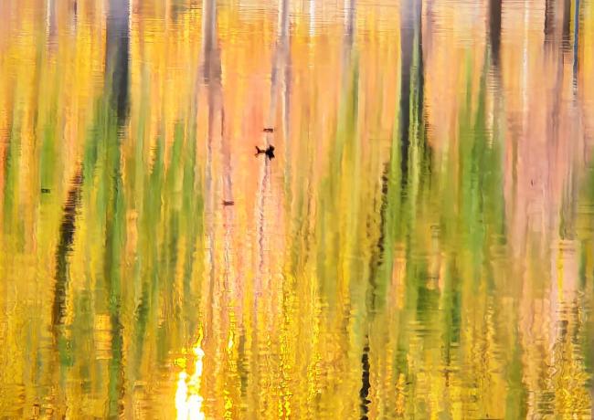 北京大桥下藏着“冬日画卷” 惊艳倒影成景