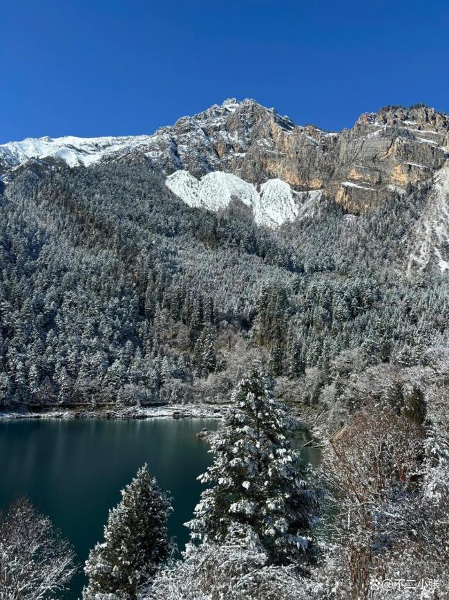 九寨沟下雪美到挪不开眼 冰雪与彩林的绝美碰撞