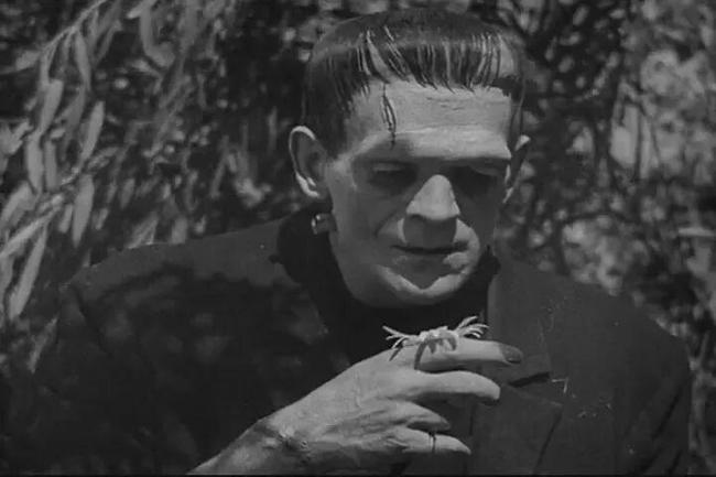 拆解《狂野时代》五个梦境 探寻感官与时代的秘密