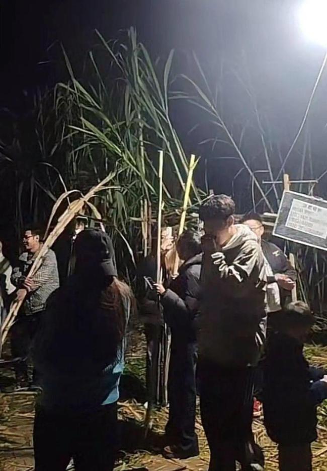 甘蔗哥增设入场费后仍迎来上千游客 呼吁勿浪费