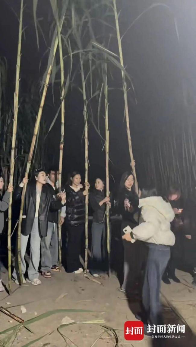 眉山“偷甘蔗”活动爆火 增设入场费仍游客激增