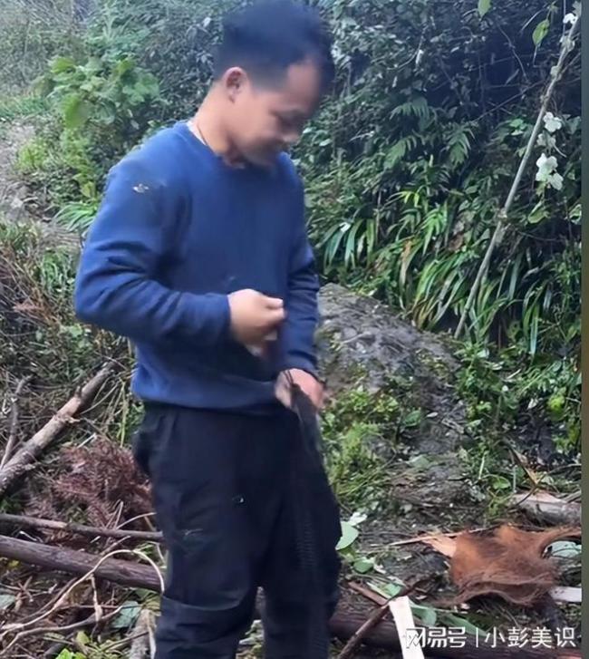 林北荒野求生決賽第一天就開始挖洞 意外發(fā)現(xiàn)何首烏