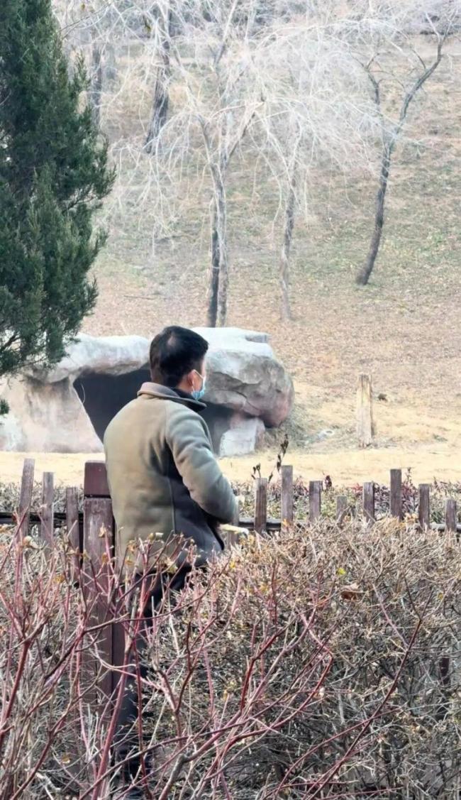 男子用弹弓打东北虎 园方回应 已展开调查核实