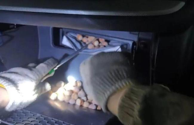 男子发现自家车被老鼠藏匿20斤榛子 车内惊现“榛子仓库”