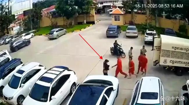 大嫂劫獄案事發(fā)地警方打擊電詐 真相揭露背后的組織預(yù)謀