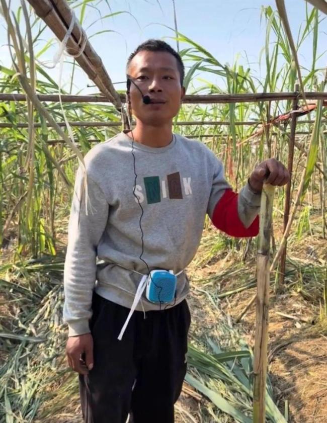 航拍萬(wàn)人涌入地里“偷甘蔗” 增設(shè)入場(chǎng)費(fèi)應(yīng)對(duì)浪費(fèi)現(xiàn)象