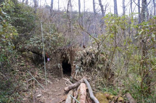 荒野求生安全員：我也強(qiáng)得可怕 極限挑戰(zhàn)引爆關(guān)注