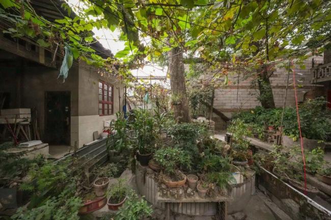 吳石故里還出過(guò)一名女烈士 隱蔽戰(zhàn)線英魂盼歸