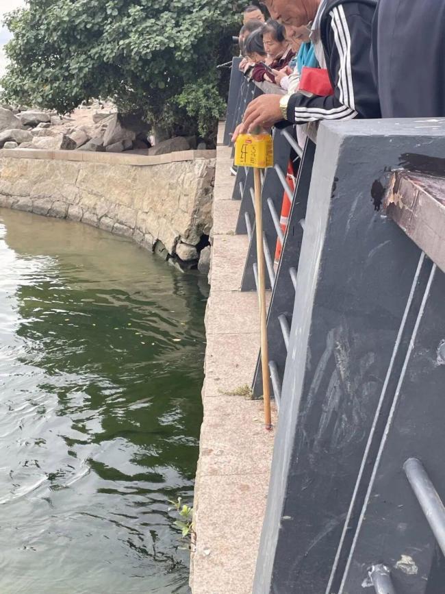 深圳灣公園現(xiàn)違規(guī)“錨魚” 偷釣者與執(zhí)法人員周旋