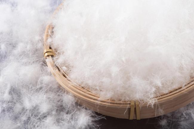 原材料暴涨导致羽绒服越来越贵?揭秘背后真相