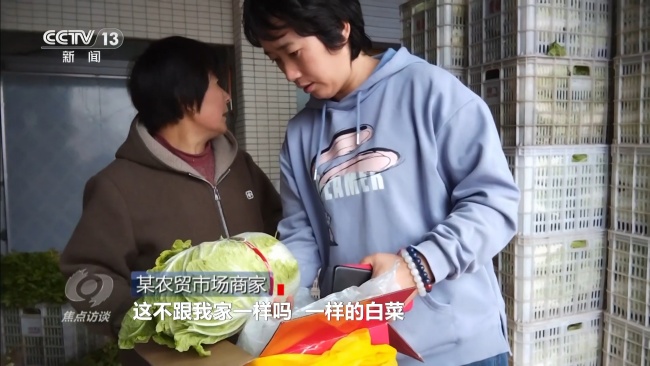 從膠州大白菜看地理標(biāo)志保護 假冒亂象頻發(fā)