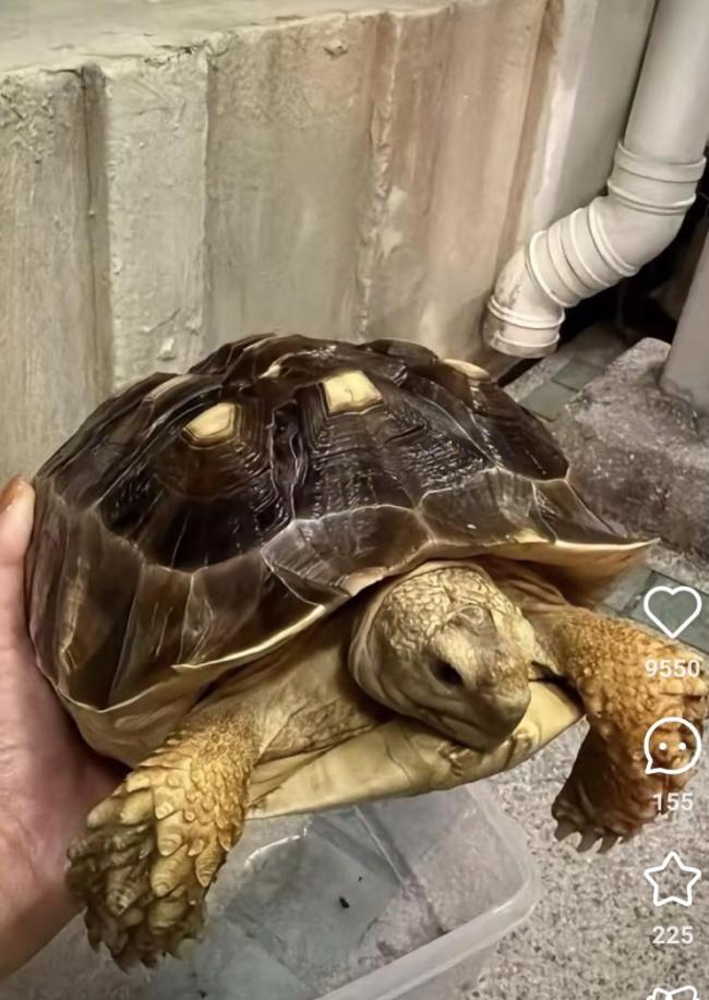 遗体照片和遗物辨认程序开放 火灾后续处理启动！