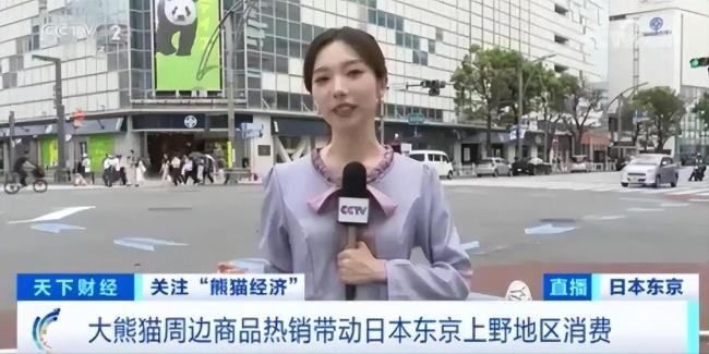 日本人求中國租大熊貓 經(jīng)濟(jì)與情感的雙重紐帶