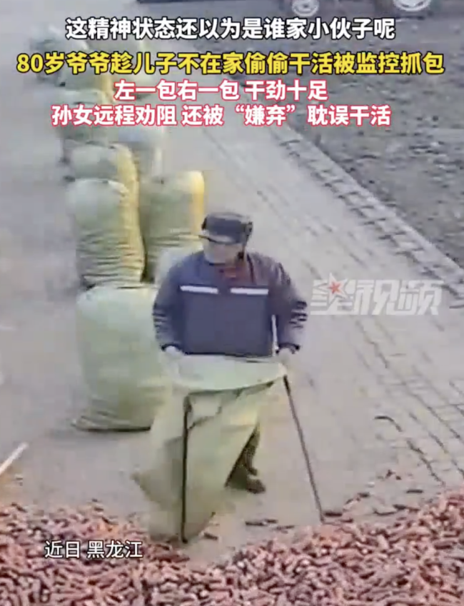 80岁老爷爷偷偷干活被抓！