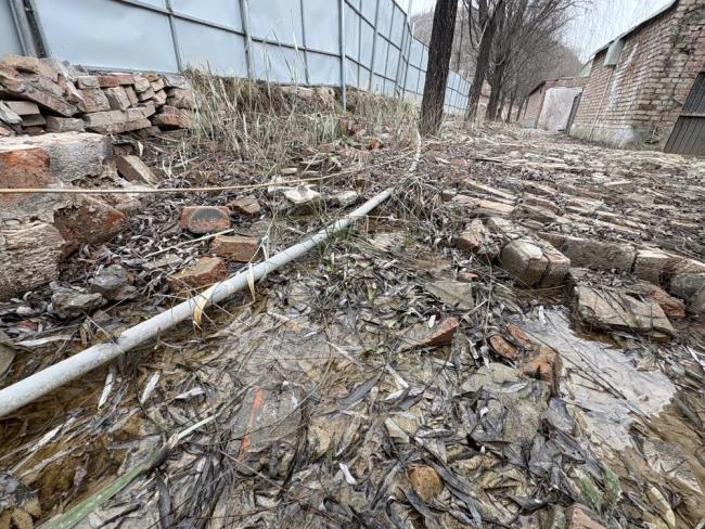 延安一動(dòng)物園圍墻倒塌遭水漫數(shù)月:籠舍泡水后結(jié)冰，獅熊等過冬遇困 安全隱患亟待解決