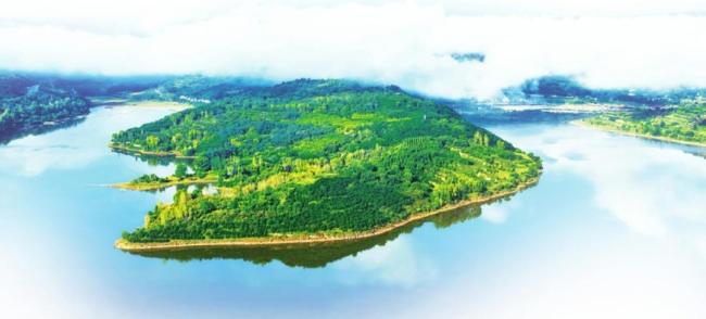 候鸟“组团”来山西越冬 生态美景迎飞羽