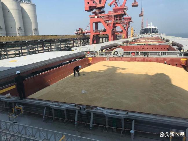 至少又訂了10船美豆，豆粕居然沒跌 市場反應(yīng)冷淡探因