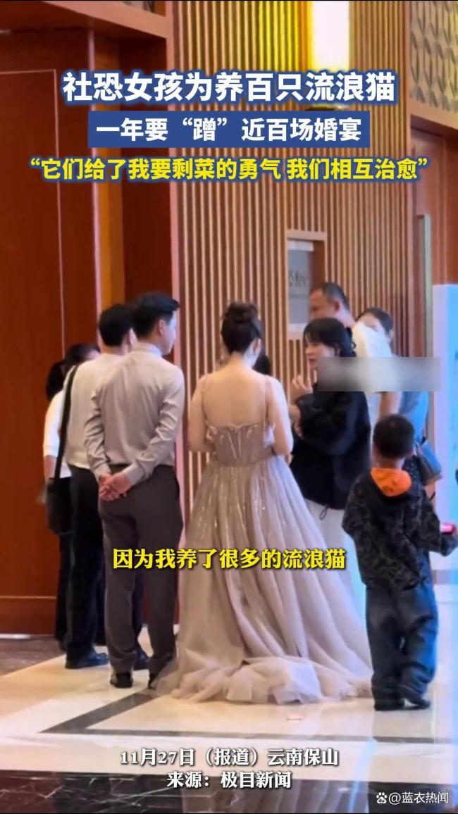 女孩蹭婚宴3年打包剩菜喂流浪猫 温暖行动延续生命