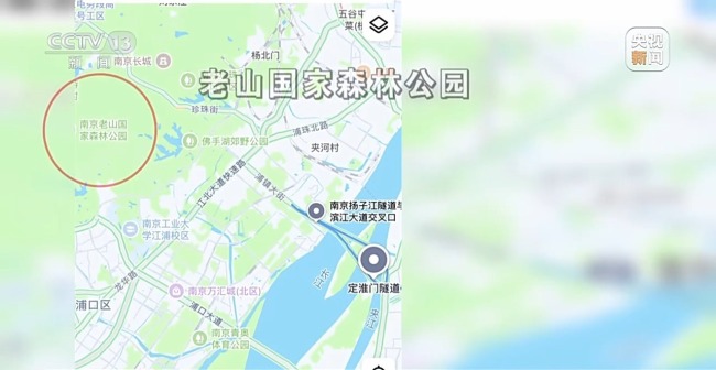 “二师兄”频繁来南京“旅游” 城市里的野生动物奇遇记