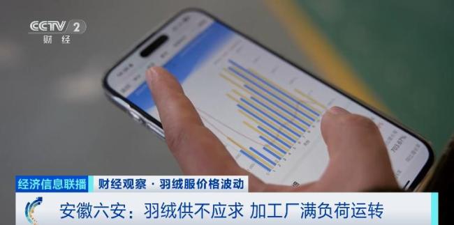 羽绒服为何涨价这么猛 供需关系推动价格上升