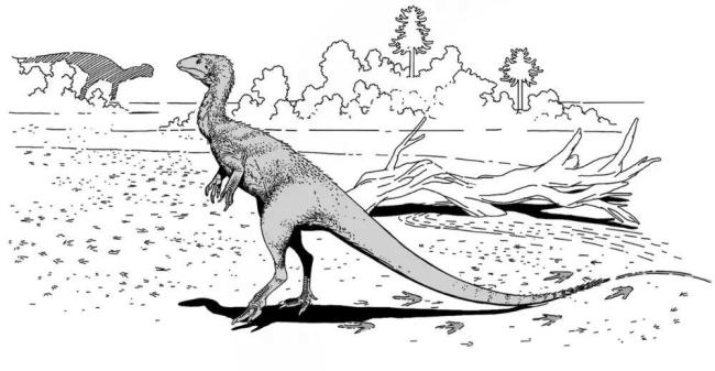 墊腳石竟是恐龍化石 揭示侏羅紀(jì)秘密