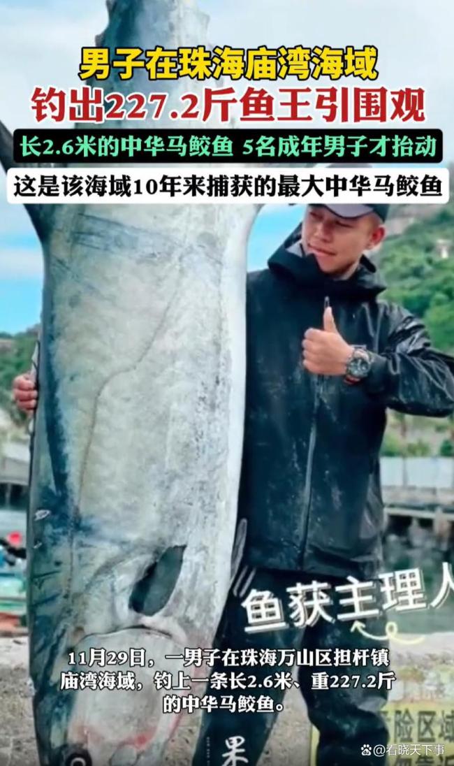 珠海男子釣出“魚王” 刷新十年捕獲紀(jì)錄
