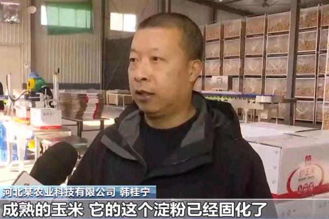 网传包装玉米是僵尸玉米?假 谣言引发“玉米惊魂”