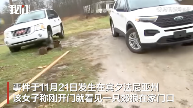 美国一女子自称在家门口遭郊狼袭击 罕见事件引发关注