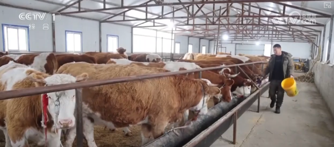 全国多地气温陆续下滑 寒潮预警生效中