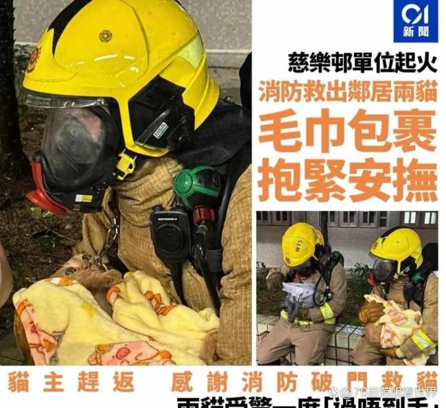 香港大埔火灾消防员救出被困狗狗 生命无贵贱，温情救援感动人心