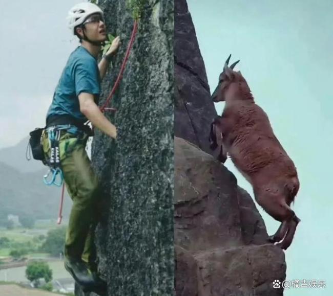 在疯狂动物城里看到了王一博 观众：这是翻版王一博吧？