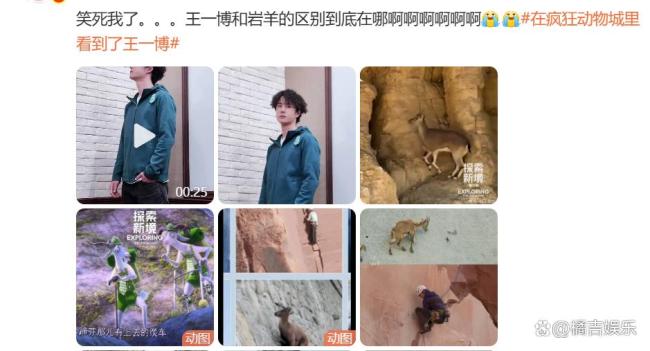 在疯狂动物城里看到了王一博 观众：这是翻版王一博吧？ 岩羊博引爆全网狂欢