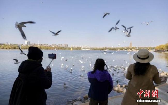 银川湿地保护经验登国际舞台