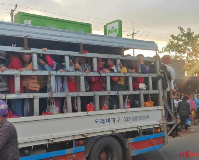 记者探访电诈下的柬埔寨 犯罪网络新热点