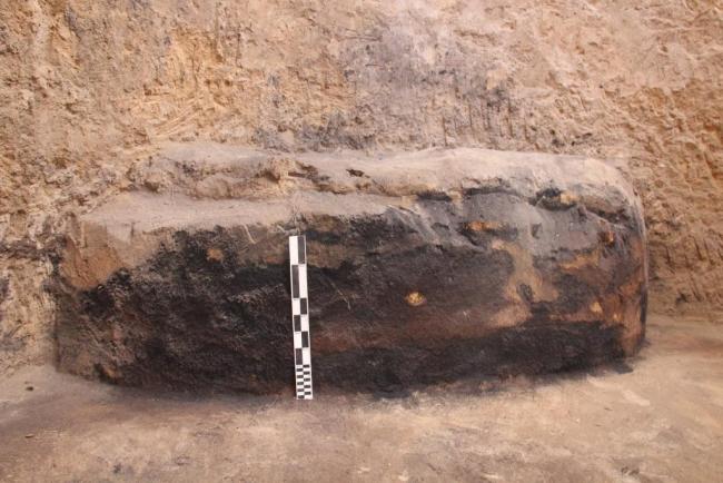 陜西發(fā)現(xiàn)4800年前大型倉儲 揭示古文明儲糧秘密