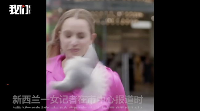 新西兰一女记者街头拍摄遭海鸥撞击