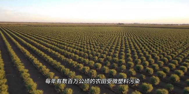 研究稱燒秸稈能控制超級細菌傳播 揭示黑炭雙重作用