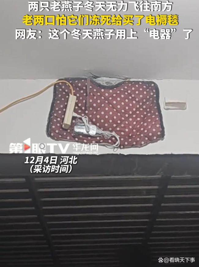 户主为不南飞燕子装上电热毯 暖心举动温暖人心