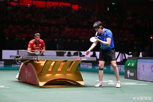 国乒8比4德国