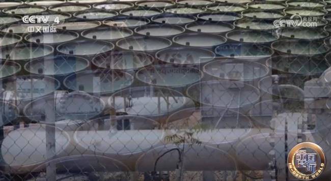 美国施压委内瑞拉的真实意图是什么 转移国内焦点