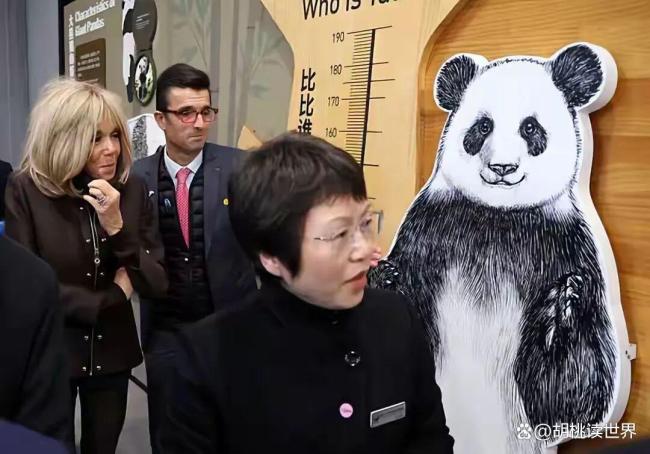 法国第一夫人亲自当大熊猫圆梦教母 熊猫情缘续写新篇章