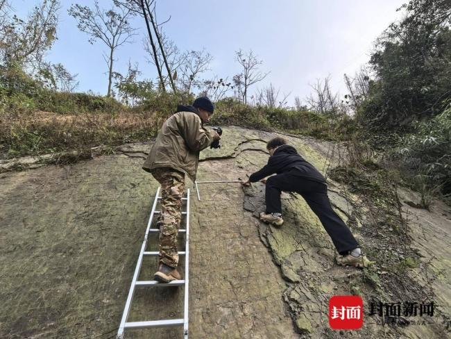 都江堰首次发现2亿年前恐龙足迹 揭开古生物秘密