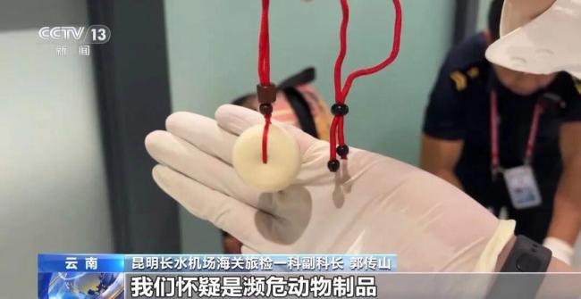 女子褲子內(nèi)藏2斤多活蟲入境 被海關(guān)查獲 人體夾藏活蟲進境被查