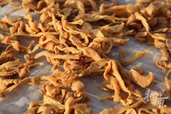 一整缸3年萝卜干参展时被偷 网友笑称“好吃到被偷”