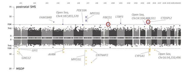 二手烟正悄悄改写孩子基因 家庭吸烟留下基因疤痕