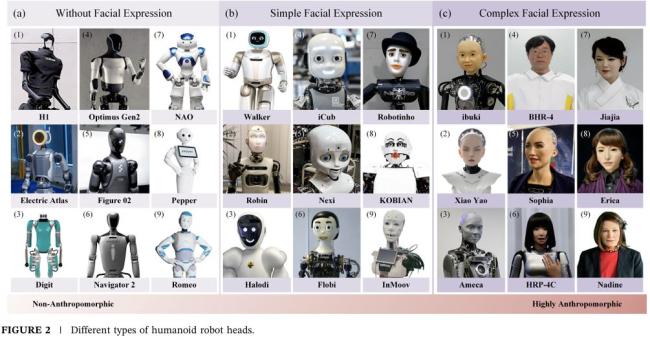 眾擎T800機(jī)器人引臺(tái)媒驚呼 機(jī)器人踢技震撼全場(chǎng)