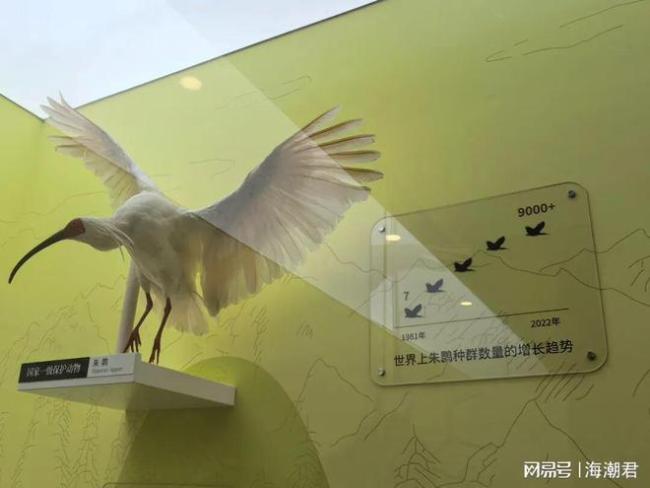 我們是否正在過度保護明星物種？警惕單一數(shù)量指標下的生態(tài)失衡 生態(tài)系統(tǒng)功能被忽視