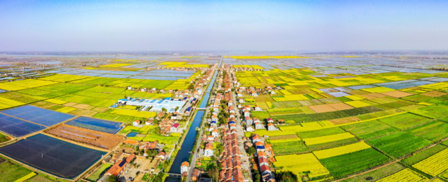 中国夫妻生出金发碧眼女儿 鉴定为亲生 家族隐秘基因显现